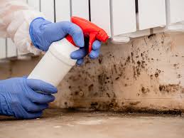 Reliable Fort Mill, SC Mold Remediation Solutions